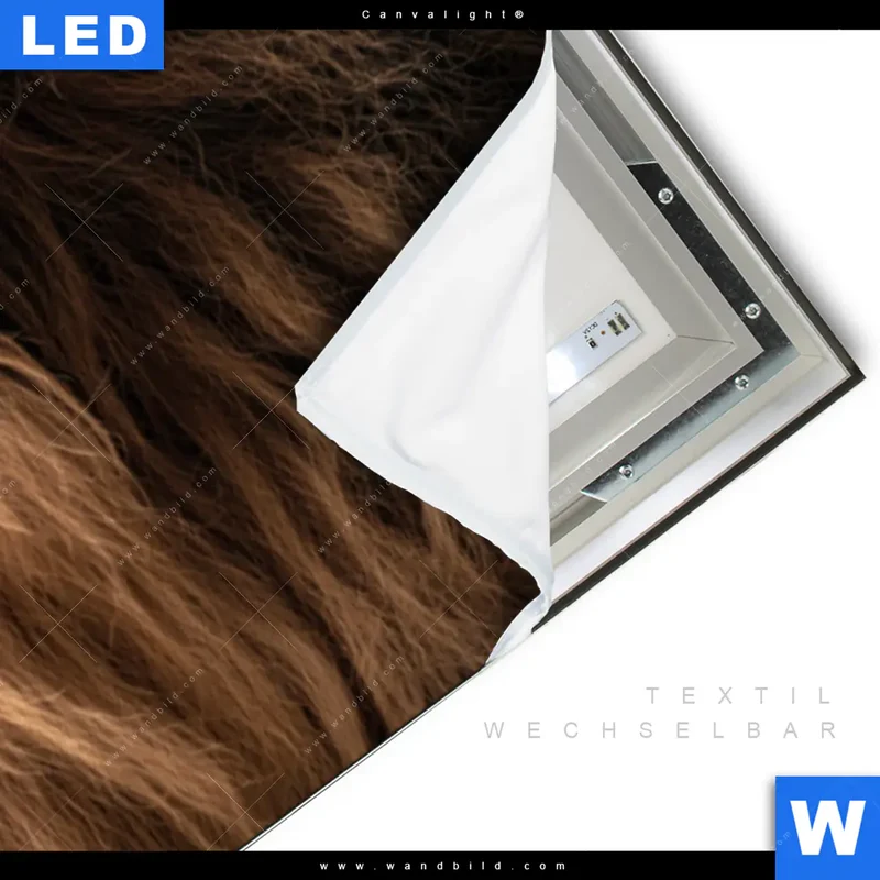 Canvalight® Leuchtbild | Löwe & Schmetterling | Panorama