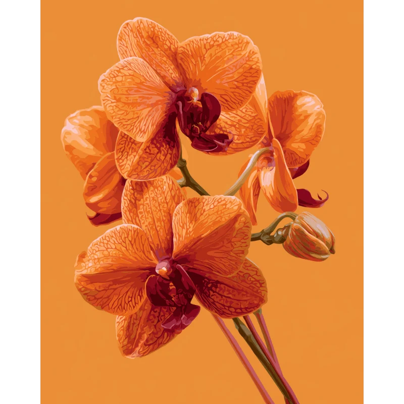 Orchideenleuchten