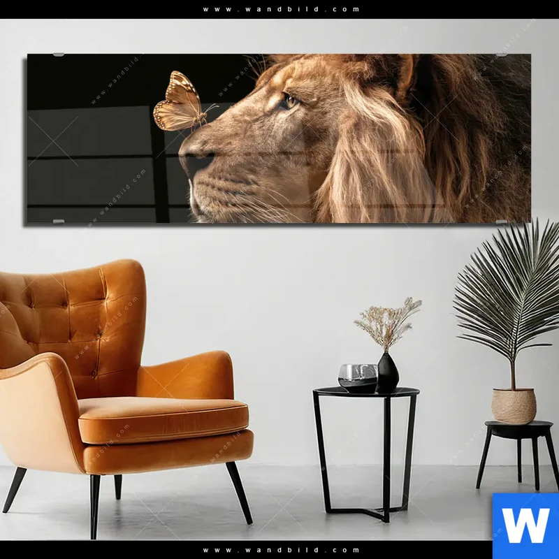 Acrylglasbild | Löwe & Schmetterling | Panorama