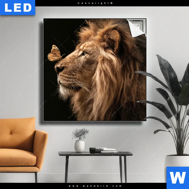 Canvalight® Leuchtbild | Löwe & Schmetterling | Quadrat
