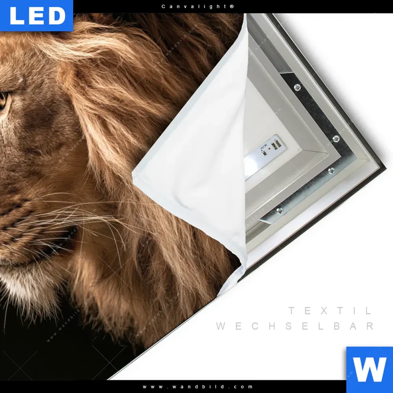 Canvalight® Leuchtbild | Löwe & Schmetterling | Quadrat