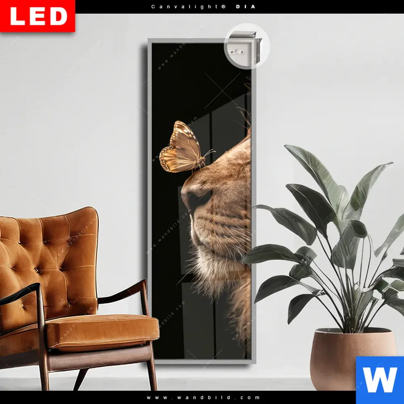 Leuchtbild Acrylglas Canvalight® DIA | Löwe & Schmetterling | Schmal