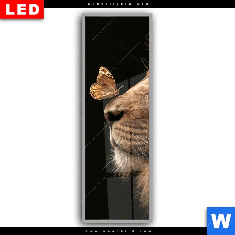 Leuchtbild Acrylglas Canvalight® DIA | Löwe & Schmetterling | Schmal