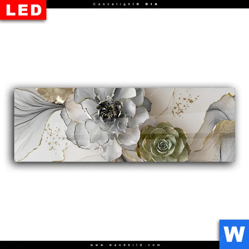 Wechselmotiv Acrylglas Canvalight® DIA | Fluid Art - Sukkulentenblüten | Panorama