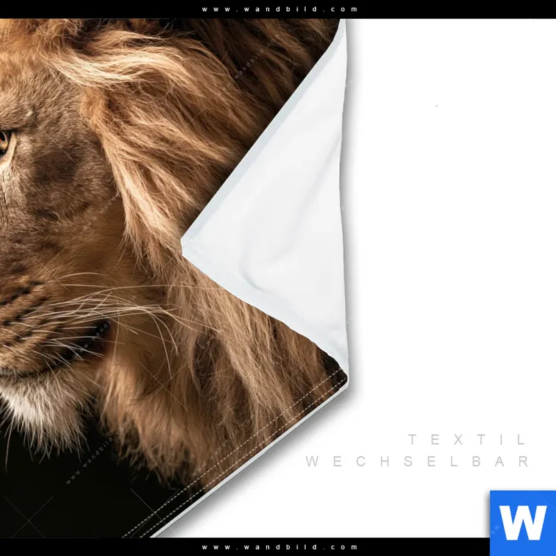 Wechselmotiv | Löwe & Schmetterling | Quadrat