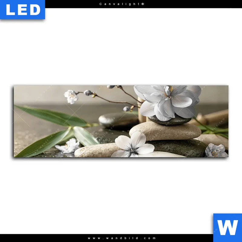 Canvalight® Leuchtbild | Blüten der Stille | Panorama