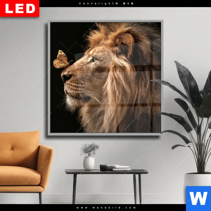 Wechselmotiv Acrylglas Canvalight® DIA | Löwe & Schmetterling | Quadrat