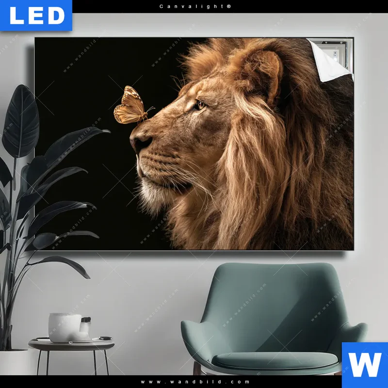 Canvalight® Leuchtbild | Löwe & Schmetterling | Querformat
