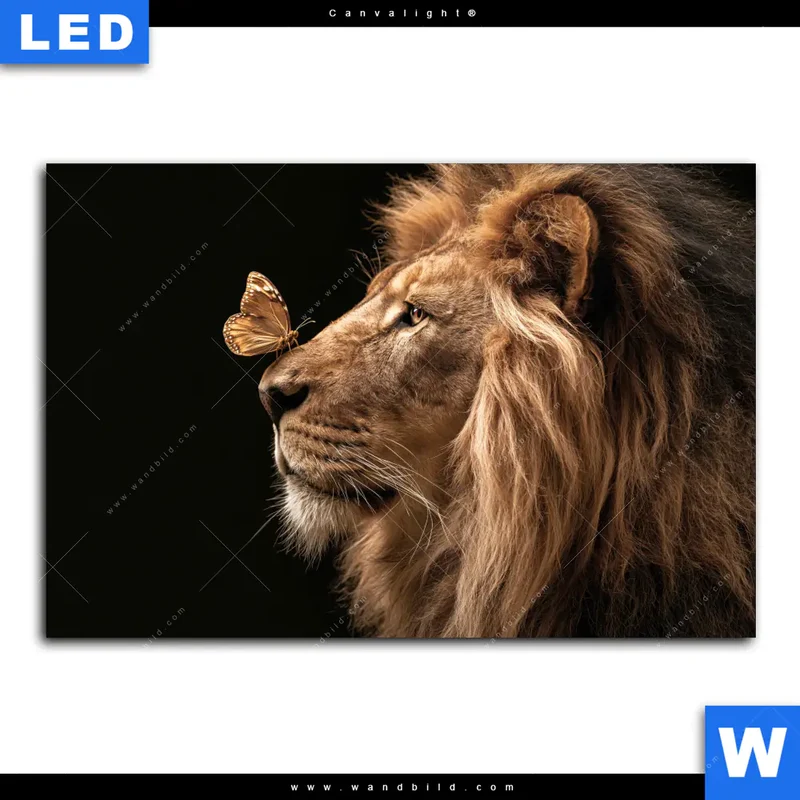 Canvalight® Leuchtbild | Löwe & Schmetterling | Querformat