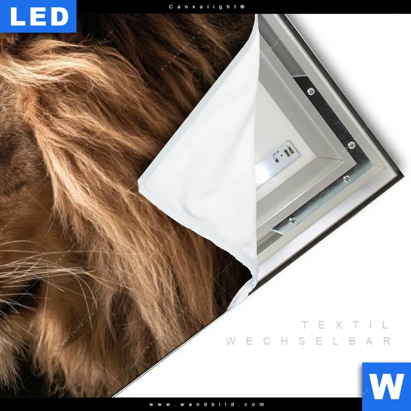 Canvalight® Leuchtbild | Löwe & Schmetterling | Querformat