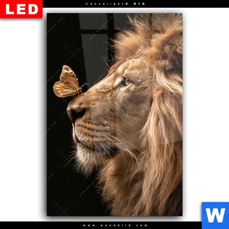 Wechselmotiv Acrylglas Canvalight® DIA | Löwe & Schmetterling | Hochformat