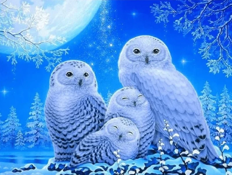 Schneeeulen mit Jungen im Mondlicht - 5D DIY Diamond Painting