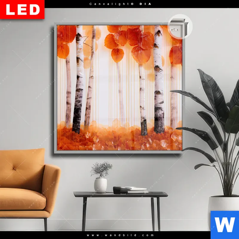 Leuchtbild Acrylglas Canvalight® DIA | Herbstlicht | Quadrat