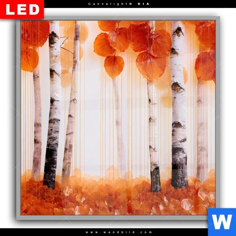 Leuchtbild Acrylglas Canvalight® DIA | Herbstlicht | Quadrat