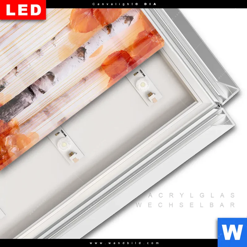 Leuchtbild Acrylglas Canvalight® DIA | Herbstlicht | Quadrat