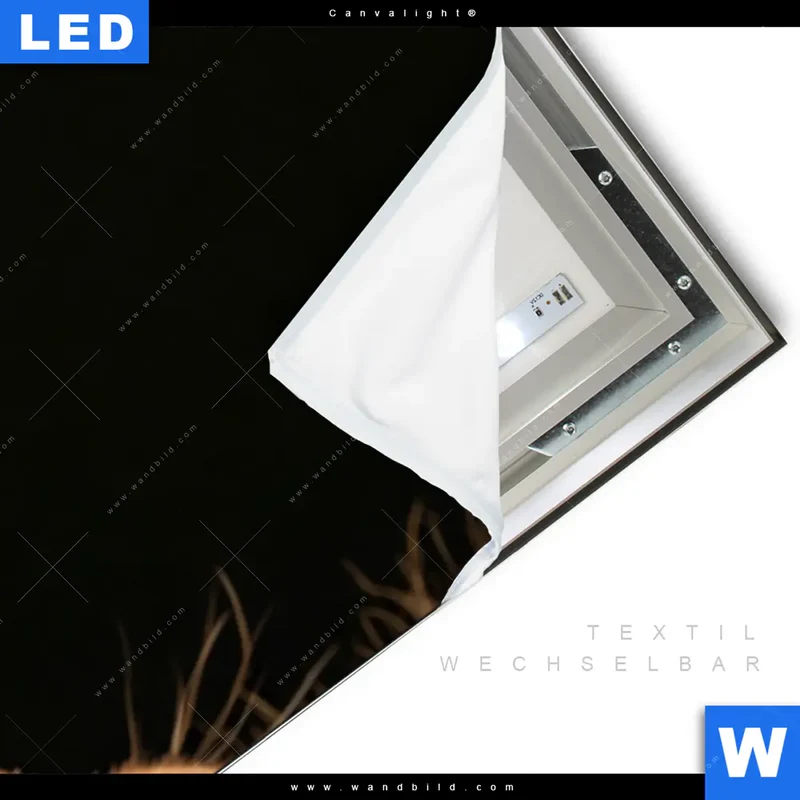 Canvalight® Leuchtbild | Löwe & Schmetterling | Schmal