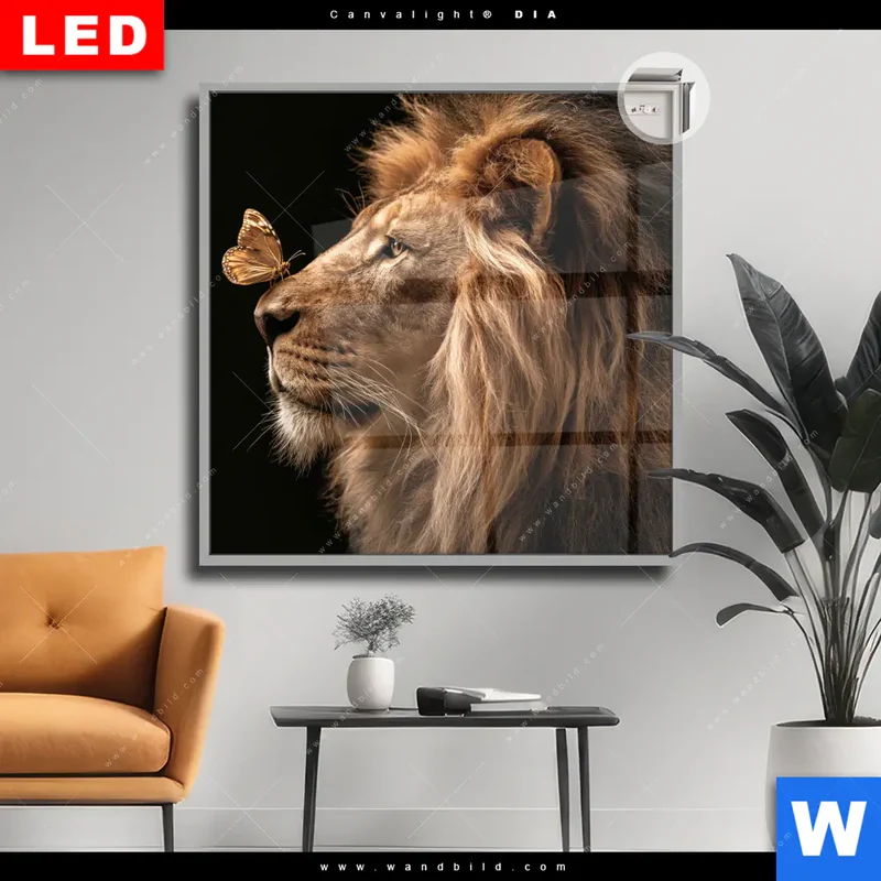 Leuchtbild Acrylglas Canvalight® DIA | Löwe & Schmetterling | Quadrat