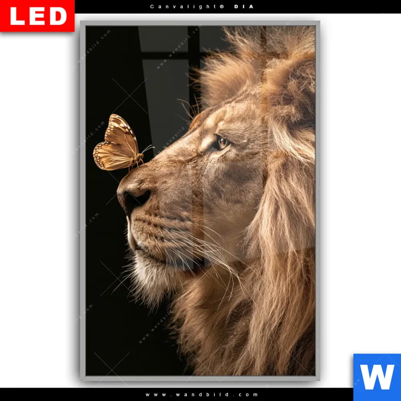 Leuchtbild Acrylglas Canvalight® DIA | Löwe & Schmetterling | Hochformat
