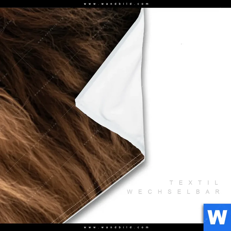 Wechselmotiv | Löwe & Schmetterling | Panorama