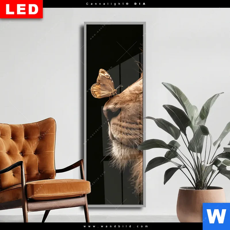 Wechselmotiv Acrylglas Canvalight® DIA | Löwe & Schmetterling | Schmal