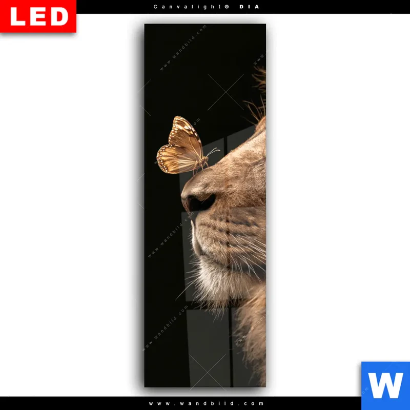 Wechselmotiv Acrylglas Canvalight® DIA | Löwe & Schmetterling | Schmal