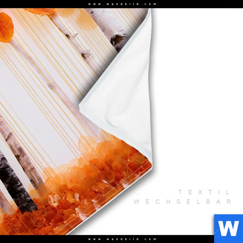 Wechselmotiv | Herbstlicht | Quadrat