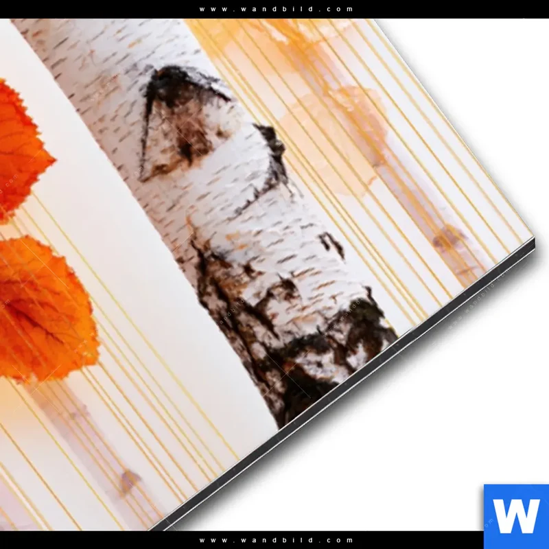 Alu-Dibond Bild | Herbstlicht | Panorama