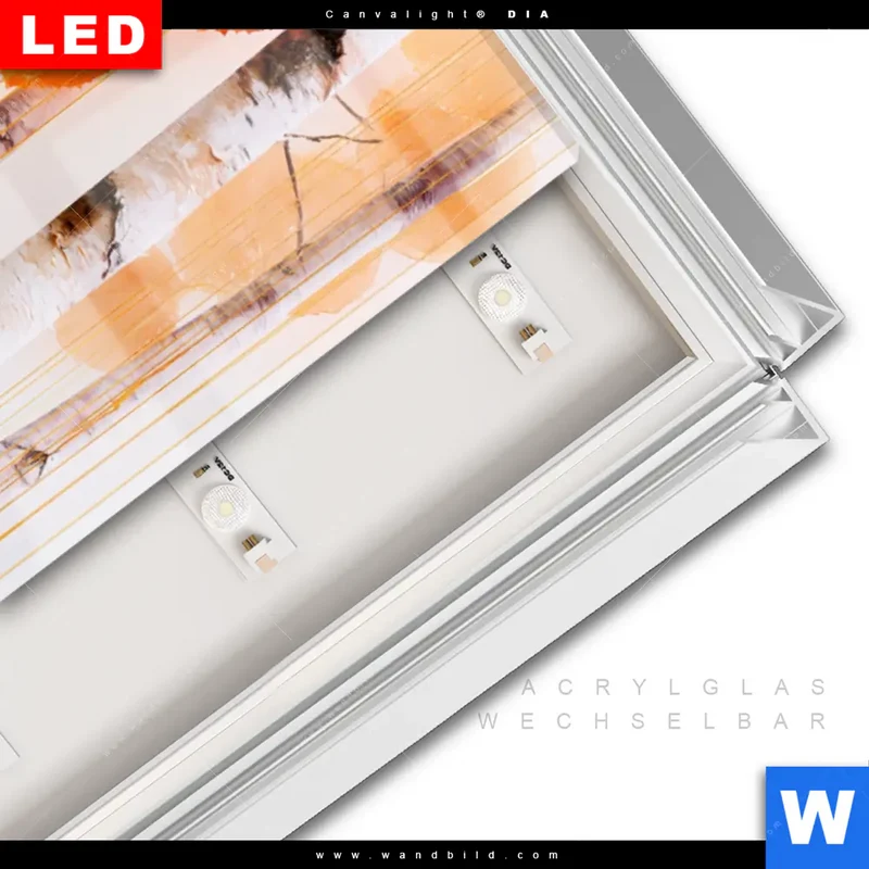 Leuchtbild Acrylglas Canvalight® DIA | Herbstlicht | Schmal