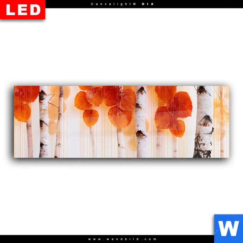 Wechselmotiv Acrylglas Canvalight® DIA | Herbstlicht | Panorama