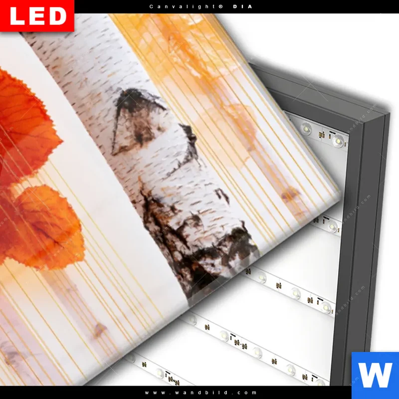 Wechselmotiv Acrylglas Canvalight® DIA | Herbstlicht | Panorama