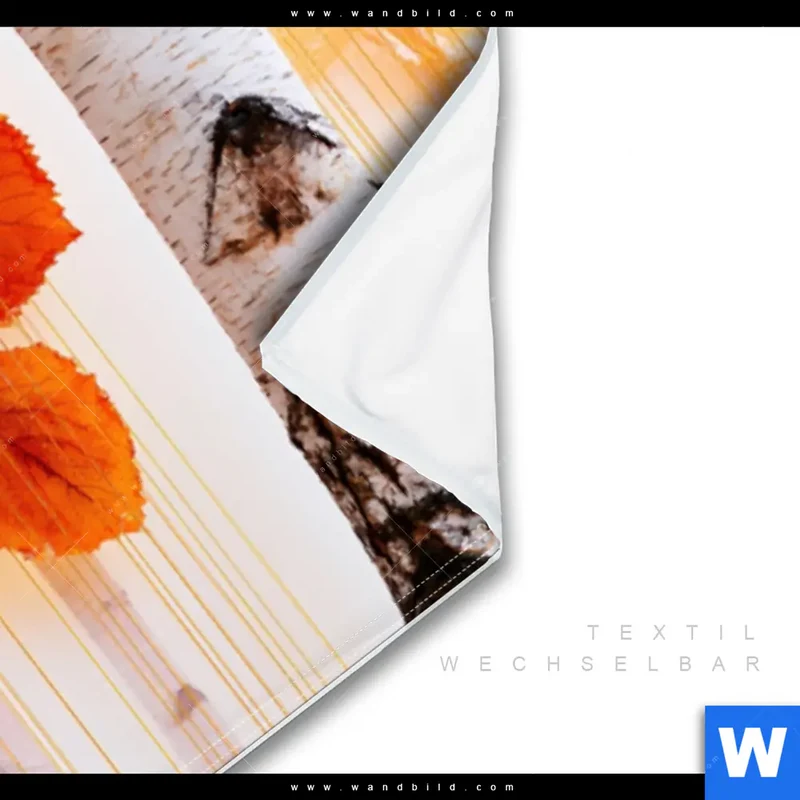 Wechselmotiv | Herbstlicht | Panorama