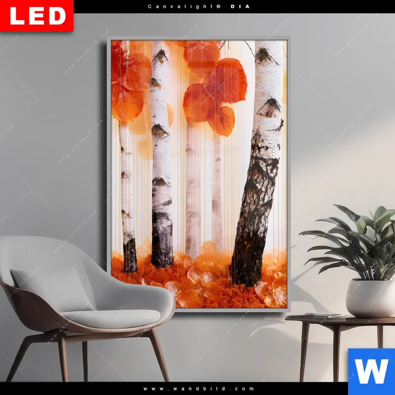 Wechselmotiv Acrylglas Canvalight® DIA | Herbstlicht | Hochformat