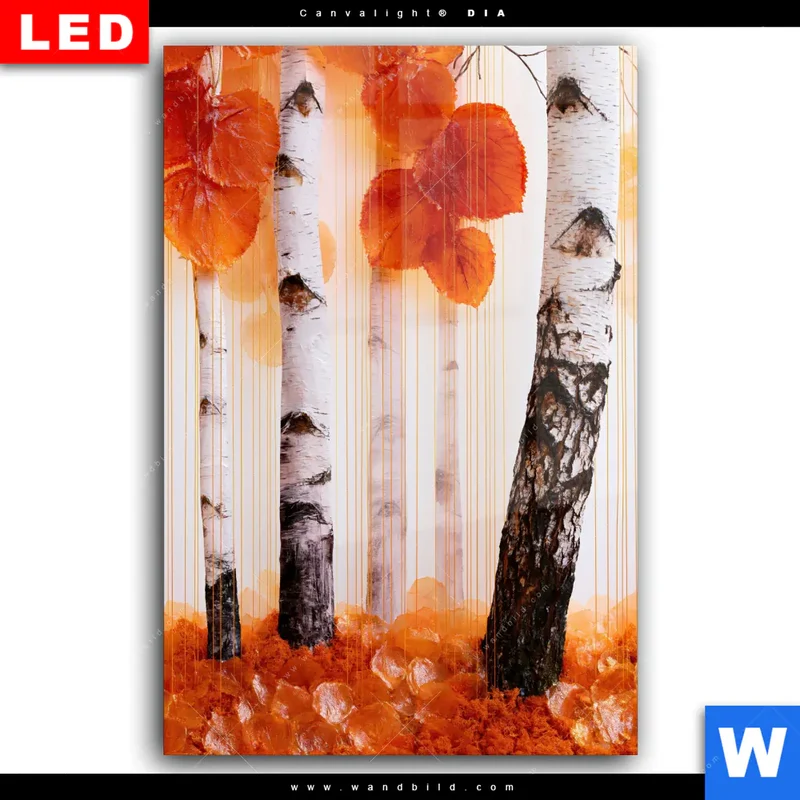Wechselmotiv Acrylglas Canvalight® DIA | Herbstlicht | Hochformat