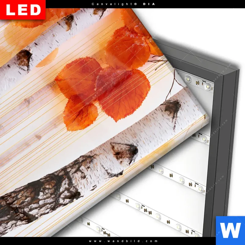 Wechselmotiv Acrylglas Canvalight® DIA | Herbstlicht | Hochformat