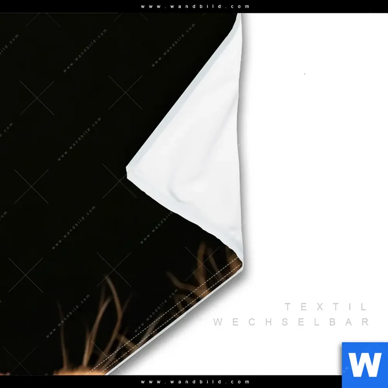 Wechselmotiv | Löwe & Schmetterling | Schmal