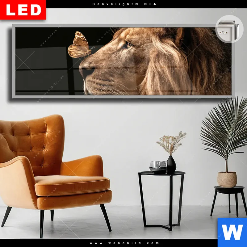 Leuchtbild Acrylglas Canvalight® DIA | Löwe & Schmetterling | Panorama