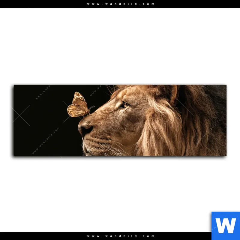 Alu-Dibond Bild | Löwe & Schmetterling | Panorama