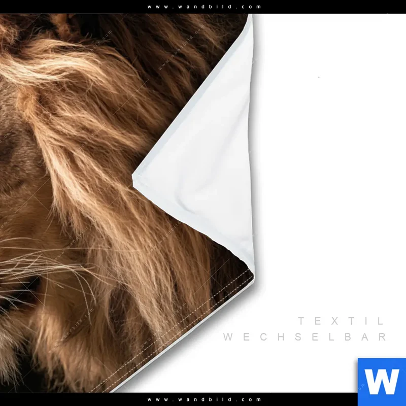 Wechselmotiv | Löwe & Schmetterling | Querformat