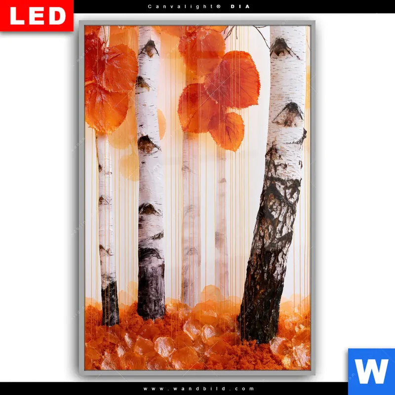 Leuchtbild Acrylglas Canvalight® DIA | Herbstlicht | Hochformat
