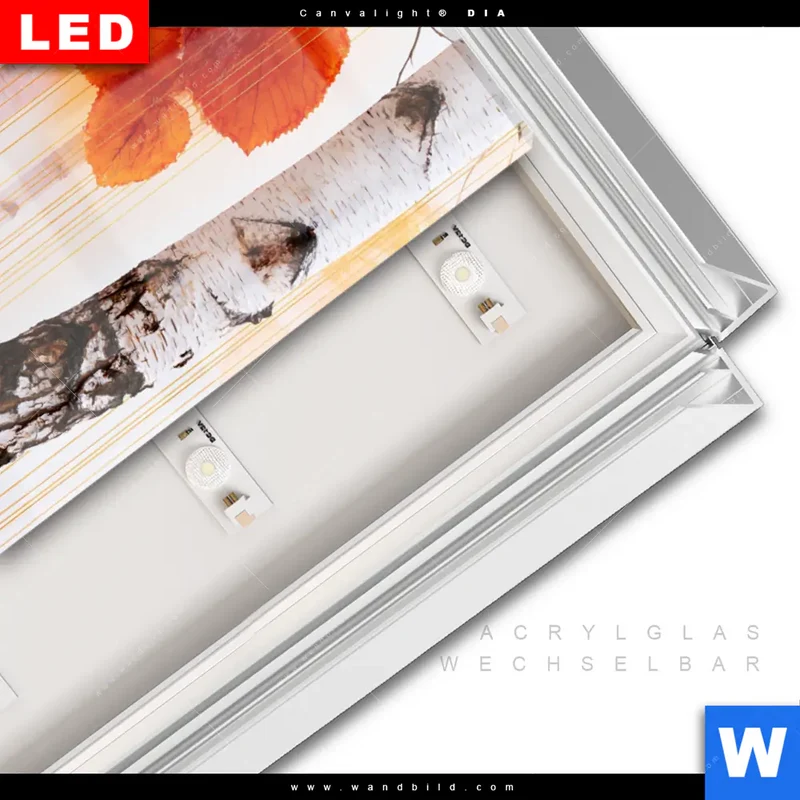 Leuchtbild Acrylglas Canvalight® DIA | Herbstlicht | Hochformat