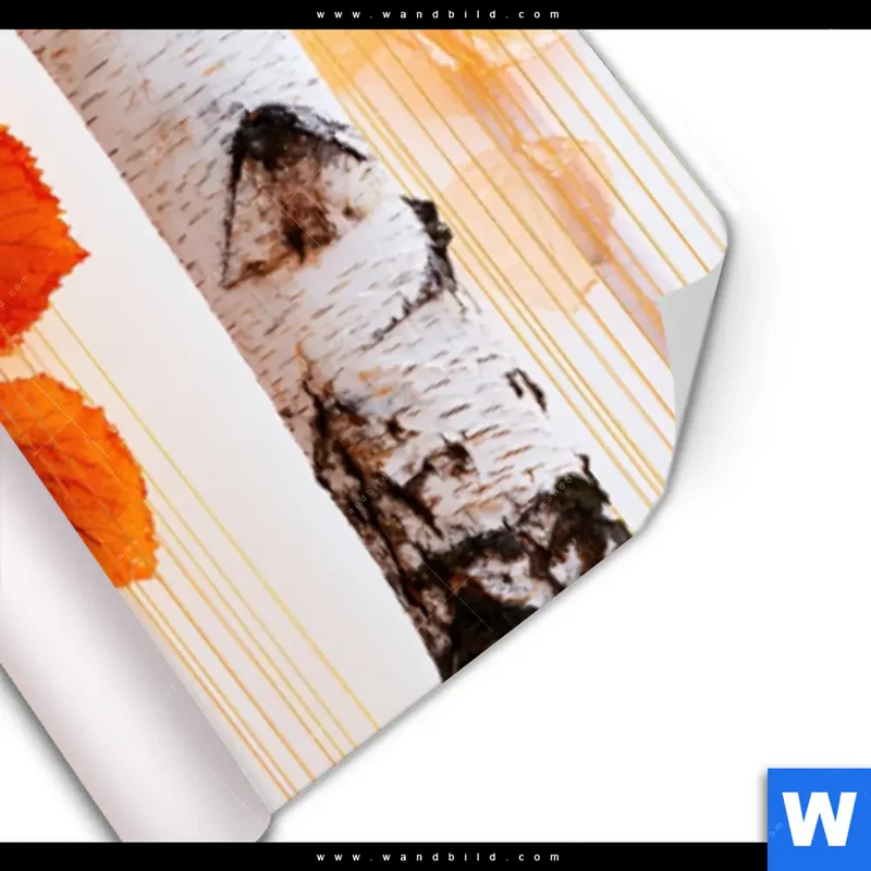 Poster | Herbstlicht | Panorama
