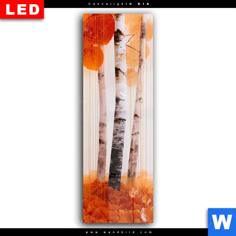 Wechselmotiv Acrylglas Canvalight® DIA | Herbstlicht | Schmal