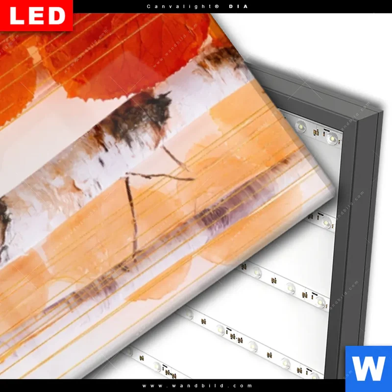Wechselmotiv Acrylglas Canvalight® DIA | Herbstlicht | Schmal
