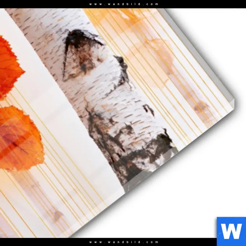 Acrylglasbild | Herbstlicht | Panorama