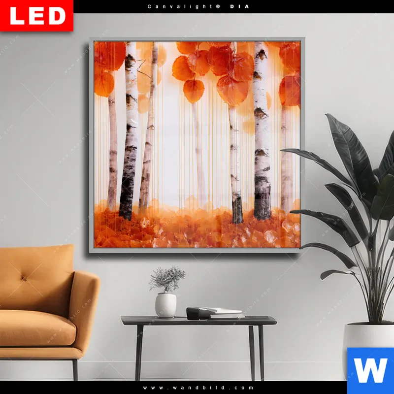 Wechselmotiv Acrylglas Canvalight® DIA | Herbstlicht | Quadrat