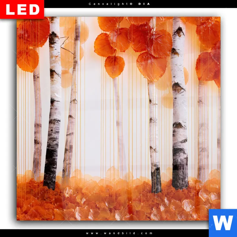 Wechselmotiv Acrylglas Canvalight® DIA | Herbstlicht | Quadrat