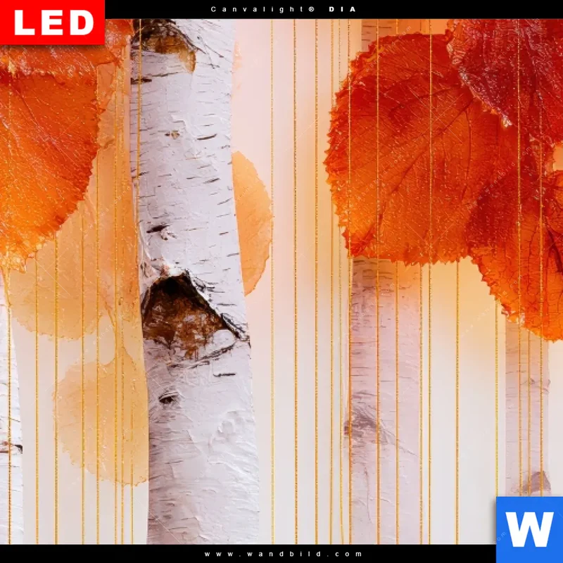Wechselmotiv Acrylglas Canvalight® DIA | Herbstlicht | Quadrat