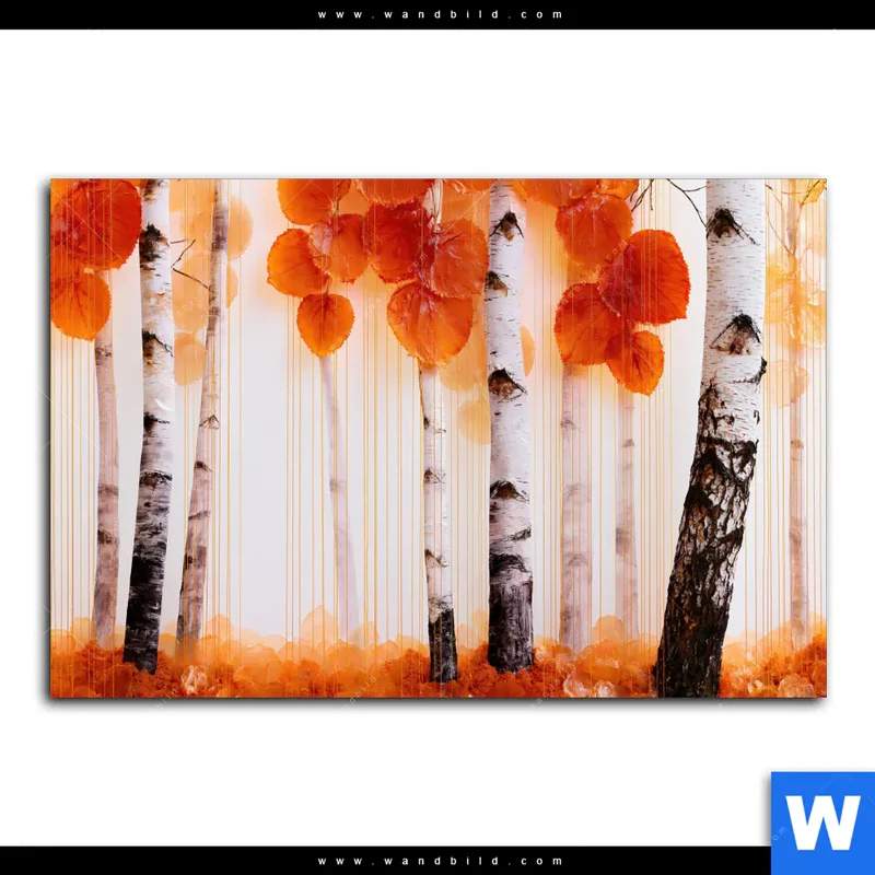 Alu-Dibond Bild | Herbstlicht | Querformat