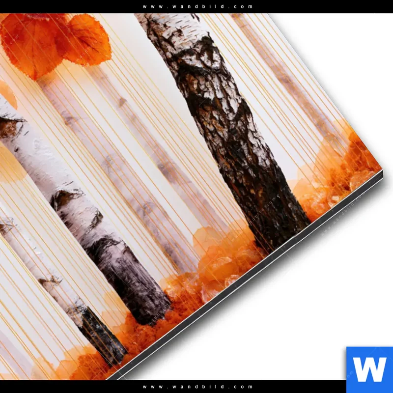 Alu-Dibond Bild | Herbstlicht | Querformat