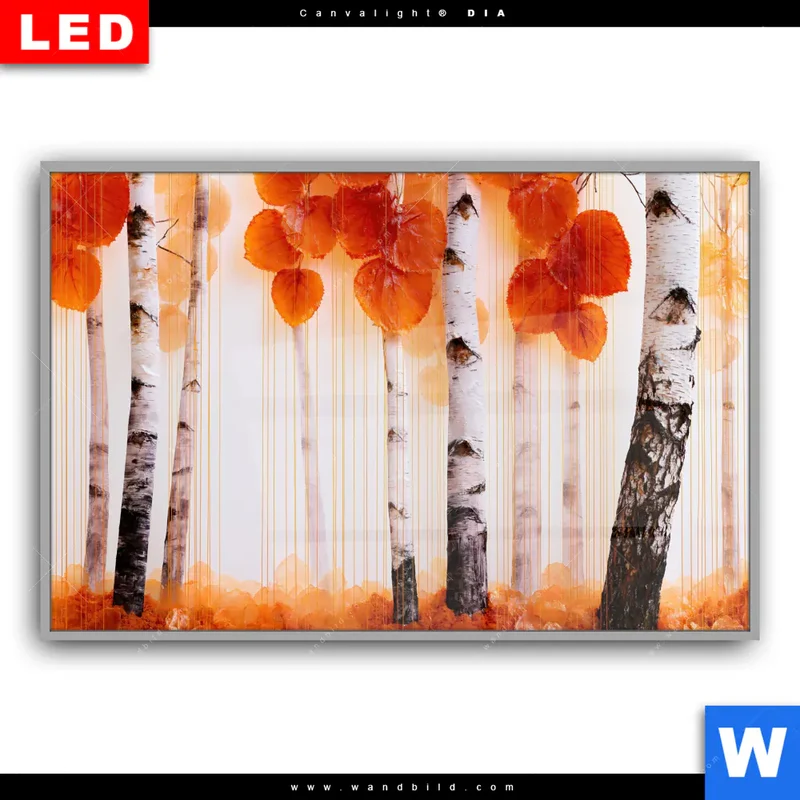 Leuchtbild Acrylglas Canvalight® DIA | Herbstlicht | Querformat